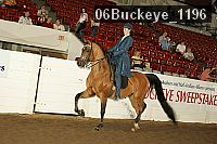 06buckeye_1196 thumbnail