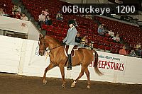 06buckeye_1200 thumbnail