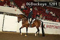 06buckeye_1201 thumbnail