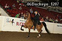 06buckeye_1207 thumbnail