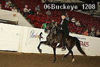 06buckeye_1208 thumbnail