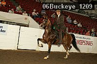 06buckeye_1209 thumbnail