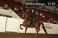 06buckeye_1210 thumbnail