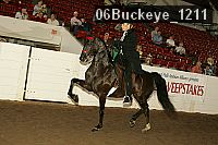 06buckeye_1211 thumbnail