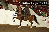 06buckeye_1213 thumbnail