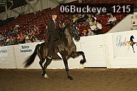 06buckeye_1215 thumbnail