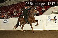 06buckeye_1217 thumbnail