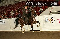 06buckeye_1218 thumbnail