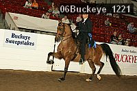 06buckeye_1221 thumbnail