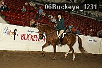 06buckeye_1231 thumbnail