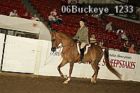 06buckeye_1233 thumbnail