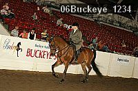 06buckeye_1234 thumbnail