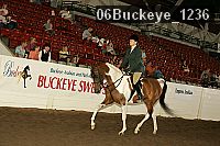 06buckeye_1236 thumbnail