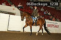 06buckeye_1238 thumbnail