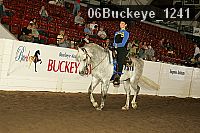 06buckeye_1241 thumbnail