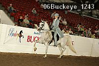 06buckeye_1243 thumbnail