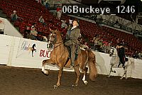 06buckeye_1246 thumbnail