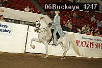 06buckeye_1247 thumbnail