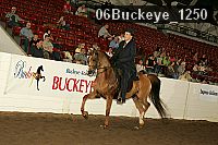 06buckeye_1250 thumbnail