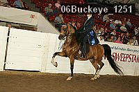 06buckeye_1251 thumbnail