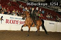 06buckeye_1254 thumbnail