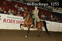 06buckeye_1255 thumbnail