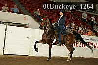 06buckeye_1264 thumbnail