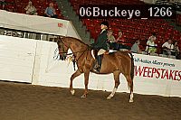 06buckeye_1266 thumbnail