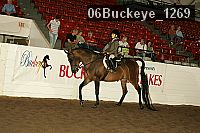 06buckeye_1269 thumbnail