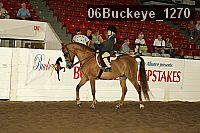 06buckeye_1270 thumbnail