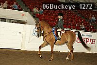 06buckeye_1272 thumbnail