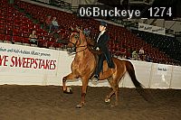 06buckeye_1274 thumbnail