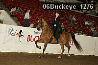 06buckeye_1276 thumbnail