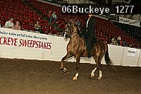 06buckeye_1277 thumbnail