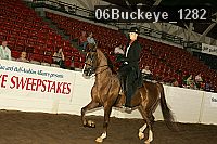 06buckeye_1282 thumbnail