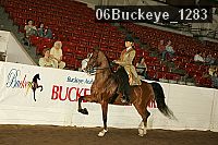 06buckeye_1283 thumbnail