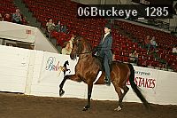 06buckeye_1285 thumbnail