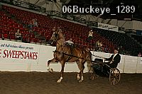 06buckeye_1289 thumbnail