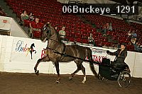 06buckeye_1291 thumbnail