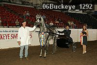 06buckeye_1292 thumbnail