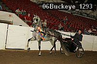 06buckeye_1293 thumbnail