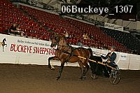 06buckeye_1307 thumbnail