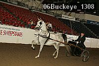 06buckeye_1308 thumbnail