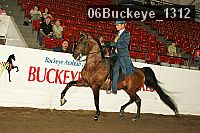 06buckeye_1312 thumbnail