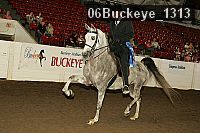 06buckeye_1313 thumbnail