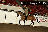 06buckeye_1315 thumbnail