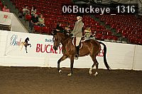 06buckeye_1316 thumbnail