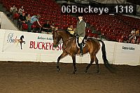 06buckeye_1318 thumbnail