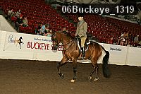 06buckeye_1319 thumbnail