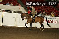 06buckeye_1322 thumbnail